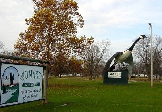 MO Goose Festival