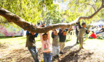 Australian Child Care Subsidy Fast-Tracked by Four Months