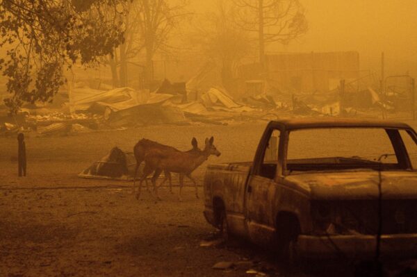 Epoch Times Photo