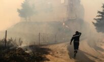 Arson Suspected as Wildfires Rage Across Algeria, 42 People Dead