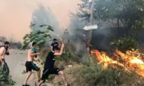 Death Toll up to 65 in Algeria Wildfires; Nation to Mourn