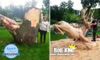 Chainsaw Artist Breathes New Life Into Wood Creating Incredible Pieces of Art