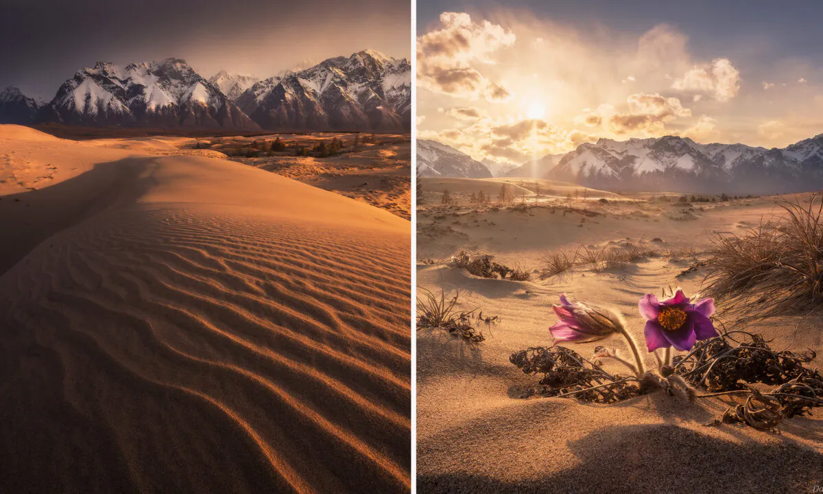 (Courtesy of Daniel Kordan)