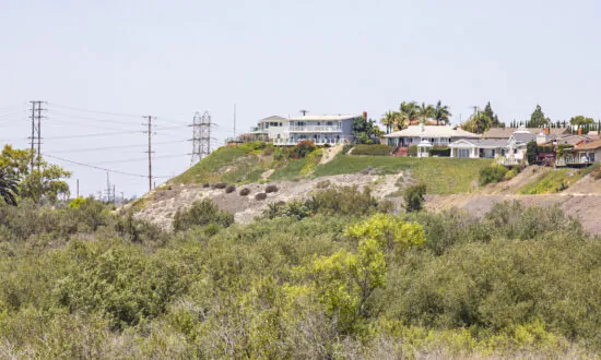 State Agency Grants $11.5 Million for Buying Coastal Wetland in Newport Beach