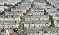 China Lockdowns Increased Plant Growth?