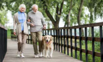 Treating Arthritis in a Senior Dog