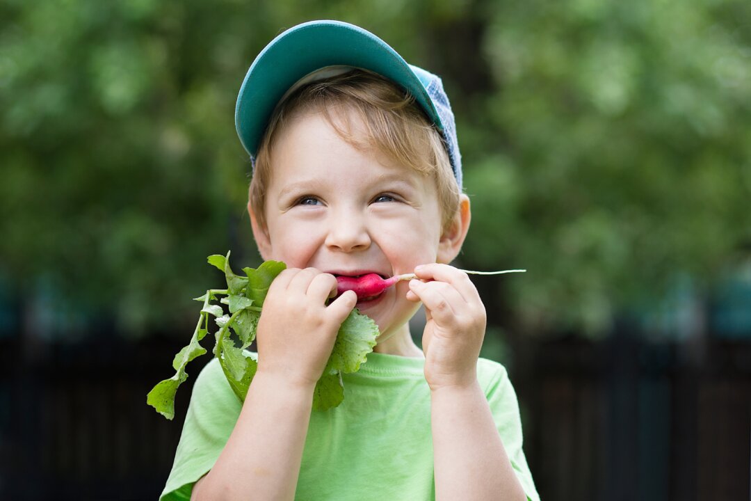 Besides being eaten plain, radishes can be baked, sauteed, sliced in salads, or pickled in kimchi. The roots and leaves are both edible and nutritious. (Elena Zakh/Shutterstock)