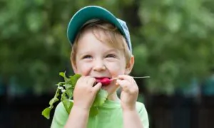 Radishes Are Surprisingly Good for You
