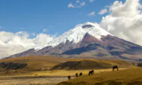 Ecuador: Mountains, Markets, and Music