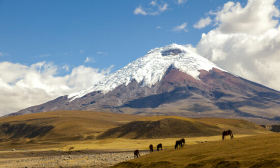 Travel: Ecuador: Mountains, Markets, and Music