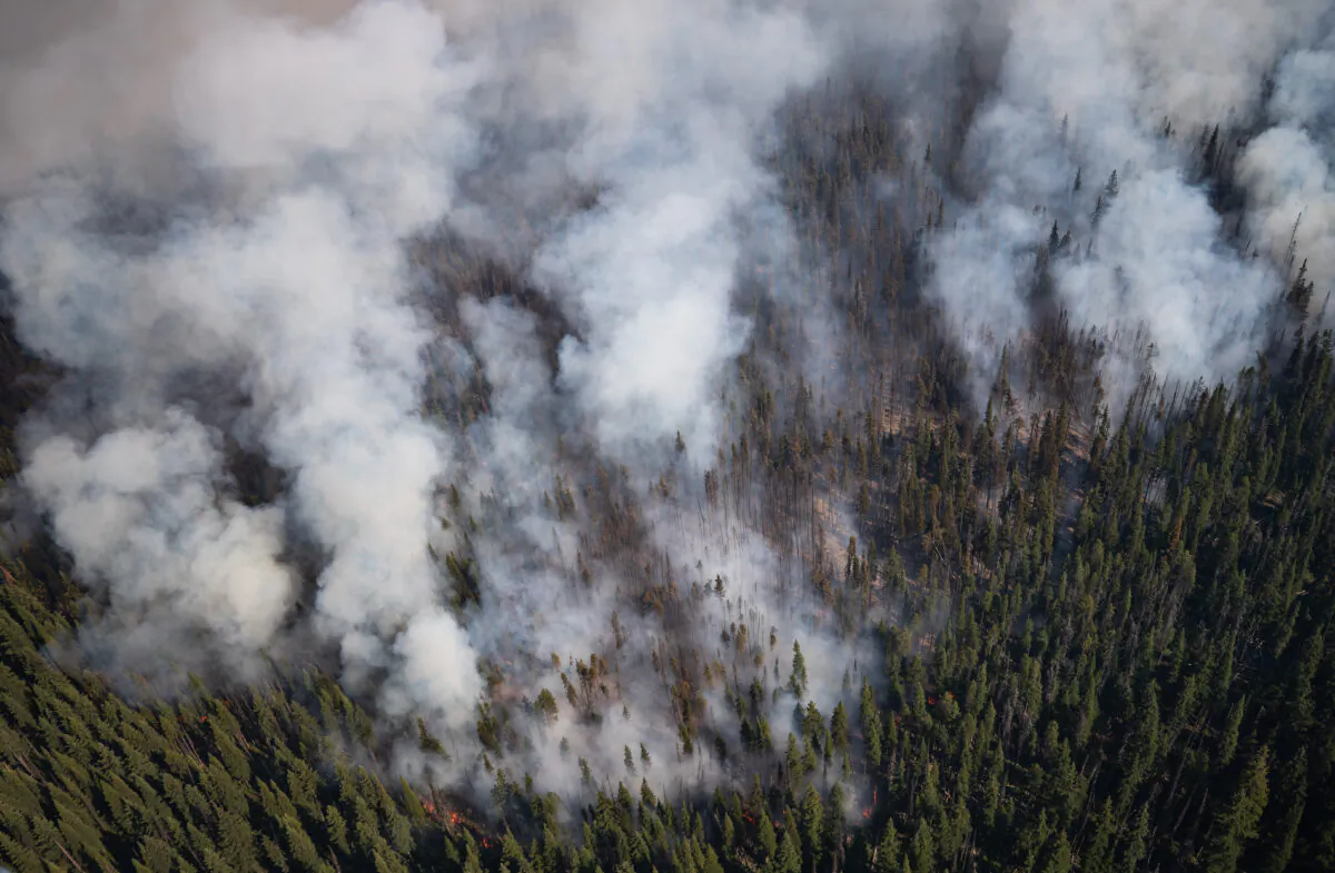 The White Rock Lake wildfire burns west of Vernon, B.C., on Aug. 12, 2021. (The Canadian Press/Darryl Dyck)
