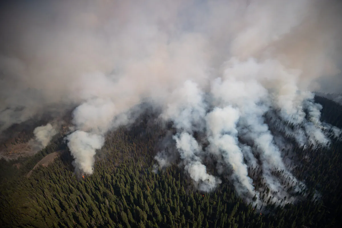 The White Rock Lake wildfire burns west of Vernon, B.C., on Aug. 12, 2021. (The Canadian Press/Darryl Dyck)