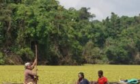 Saving a Cameroonian Lake From an Invasive Plant
