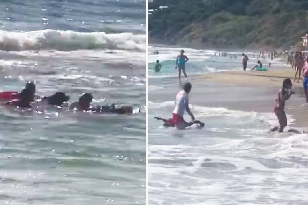 Video Shows K9 Lifeguards Rescuing Teenage Girl Swept Out to Sea by ...
