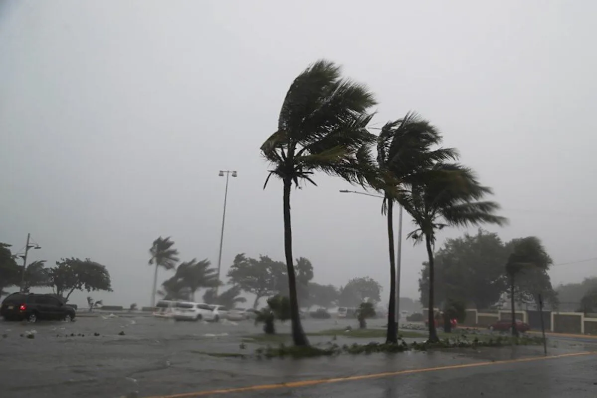 Palm trees sway in the wind during the passage of Tropical Storm Fred in Santo Domingo, Dominican Republic, on Aug. 11, 2021. (Ricardo Rojas/Reuters)