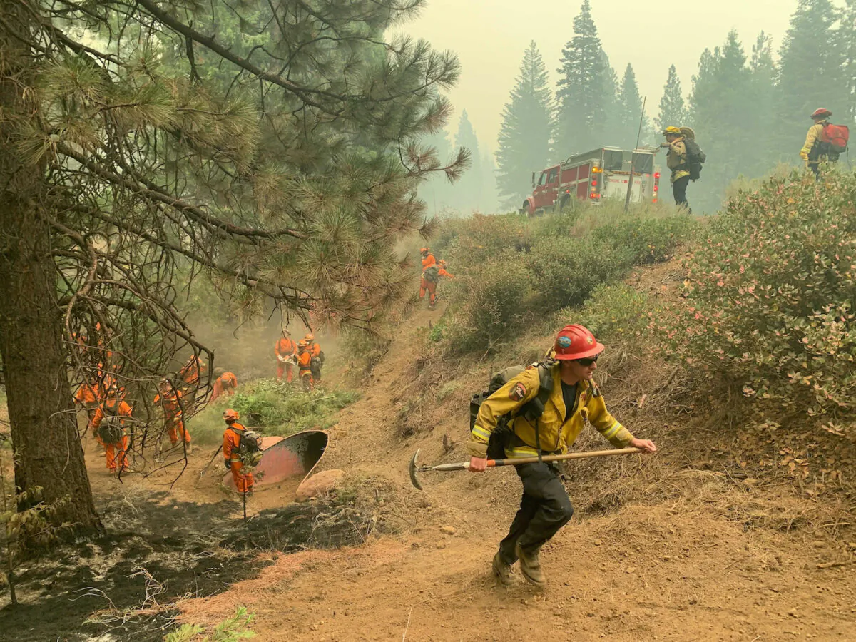 CalFire firefighters and California Correctional Center (CCC) inmates fight a spot fire on the side of Highway CA-36 between Chester and Westwood in Plumas County, Calif., on Aug. 13, 2021. (Eugene Garcia/AP Photo)