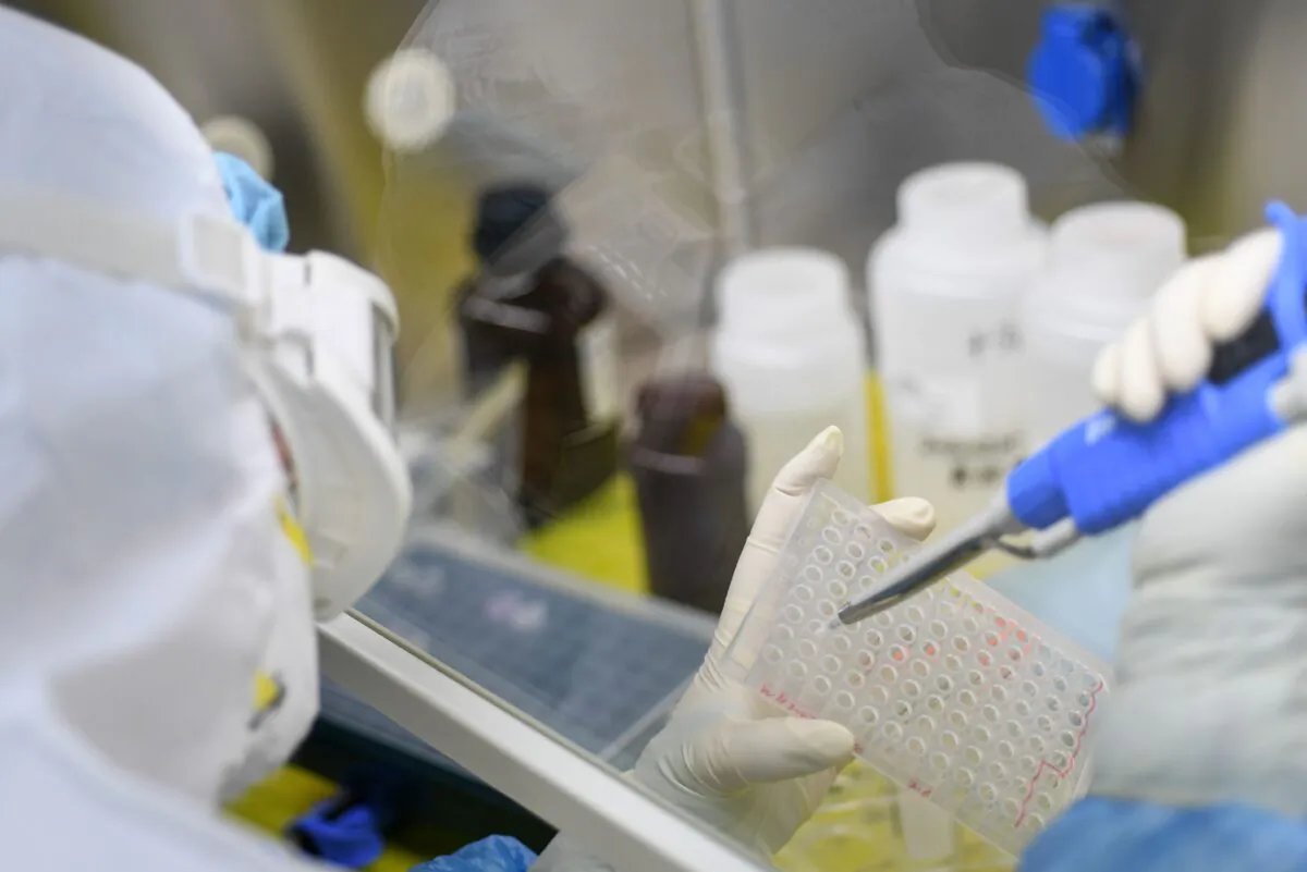 A laboratory technologist working on samples to be tested for the new coronavirus at "Fire Eye" laboratory in Wuhan, Hubei Province. BGI Group, a genome sequencing company based in southern China, said it opened a lab in Wuhan on Feb. 5 that is able to test up to 10,000 people per day for the virus. (STR/AFP via Getty Images)