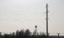 Afghan Military Plane Crashes in Uzbekistan; Cause Disputed