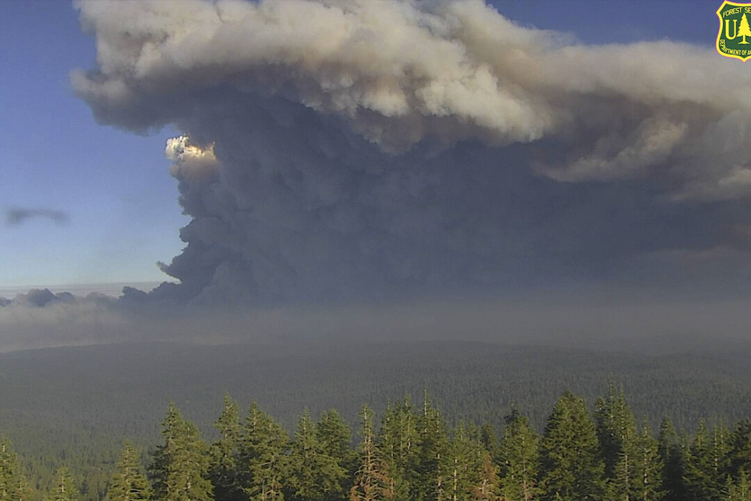 California Utility Cutting Power to 51,000 Customers Amid Dangerous Wildfire Conditions