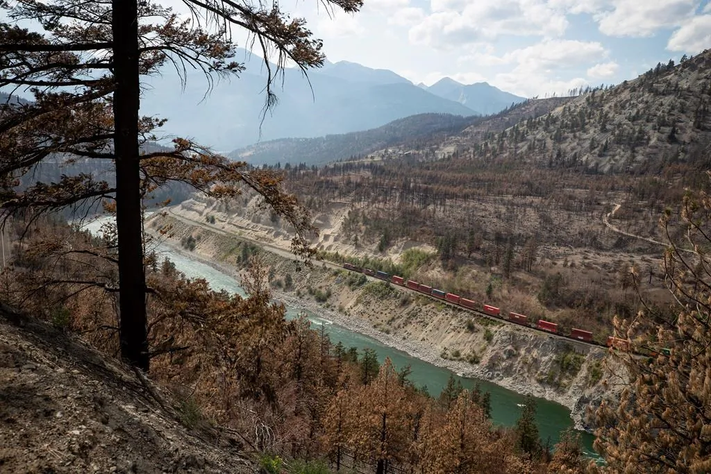 A Canadian Pacific freight train travels on tracks covered with fire retardant in an area burned by a wildfire above the Thompson River near Lytton, B.C., on Aug. 15, 2021. (The Canadian Press/Darryl Dyck)