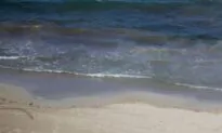 Man Dies in Ibiza When Ferry Crashes Into Boat at Night