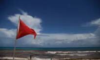 Hurricane Grace to Make Landfall in Yucatan Peninsula on Thursday: NHC