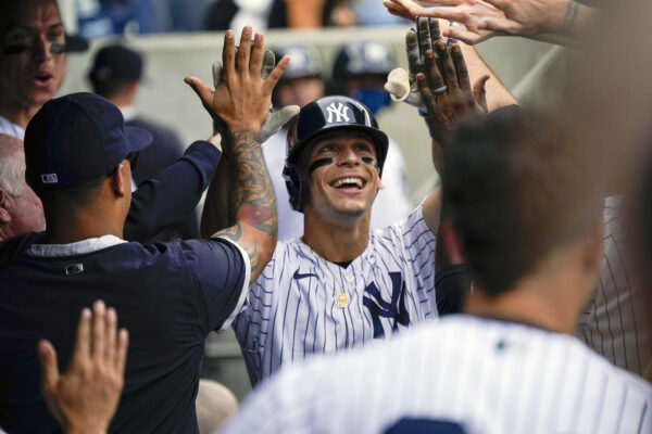 New York Yankees' Andrew Velazquez celebrates