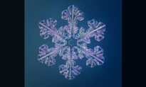 Macro Photographer Snaps Exquisite Crystalline Snowflakes Using Special Camera He Built Himself