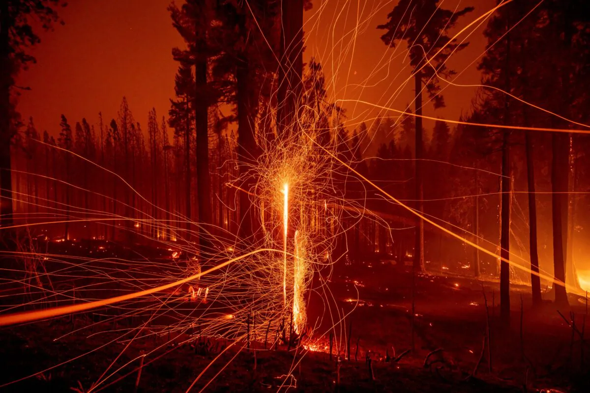 In a long time exposure photo, embers fly from burning trees as the Caldor Fire growing on Mormom Emigrant Trail east of Sly Park, Calif., on Aug. 17, 2021. (Ethan Swope/File/AP Photo)