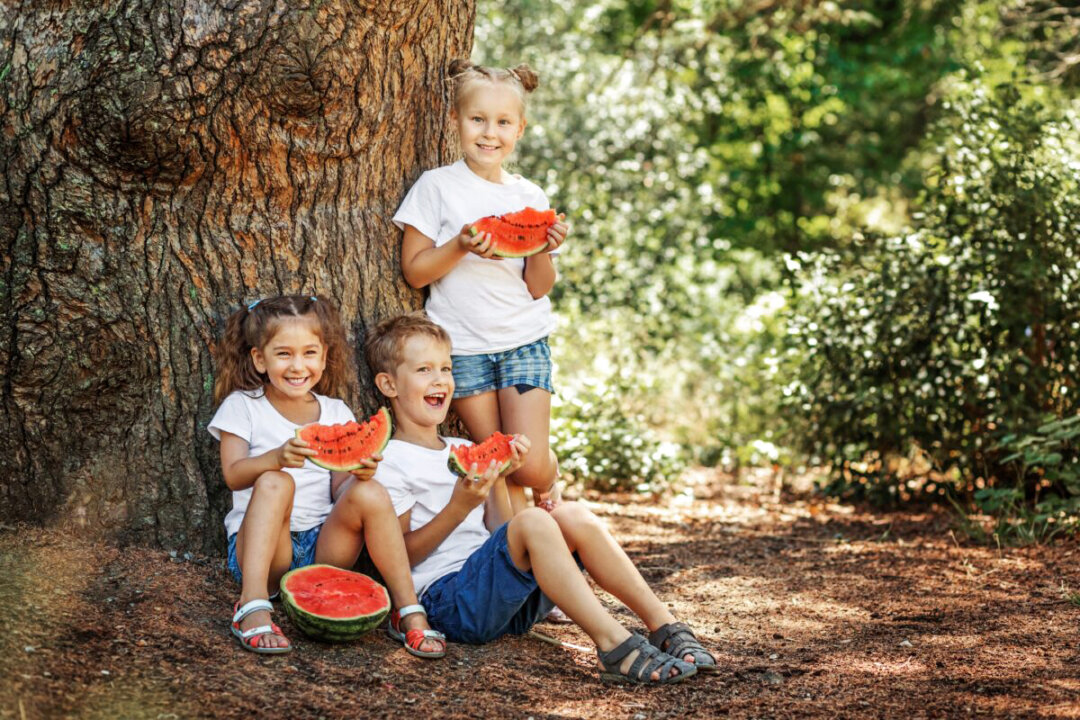 Watermelon is a delicious fruit that can keep you hydrated and fuel a healthy life. (Cvetkova Elina/Shutterstock)