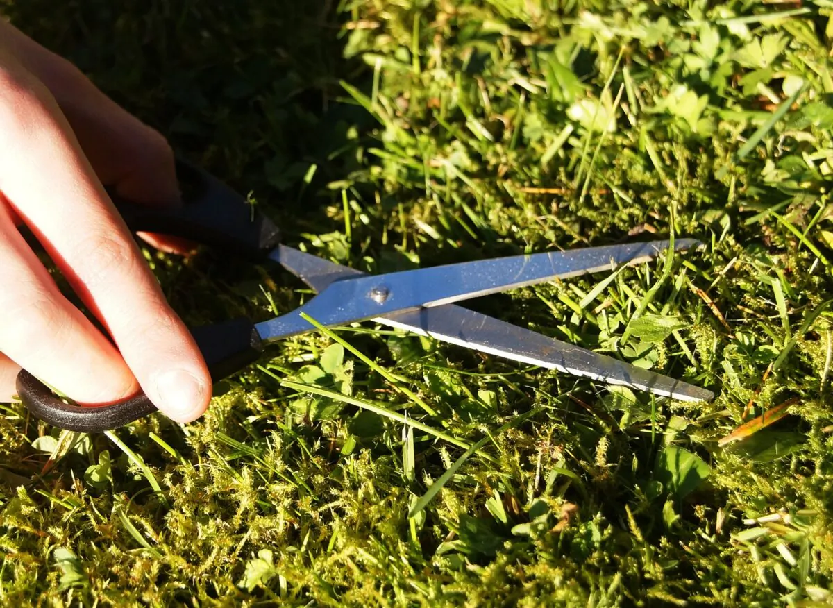 Thanks to labor-saving devices brought about by capital investment, we don't have to cut the lawn with scissors. (Monsterkoi/pixabay.com)