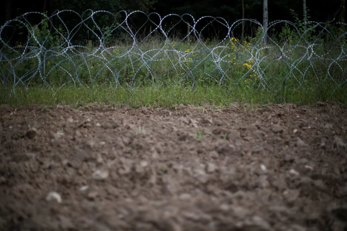 Barbered wire is pictured at the Polish-Belarusian border near the village of Usnarz Gorny, Poland, on Aug. 23, 2021. (Kacper Pempel/Reuters)