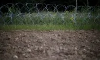 UN Refugee Agency Pressures Poland to Help Illegal Immigrants on Belarus Border