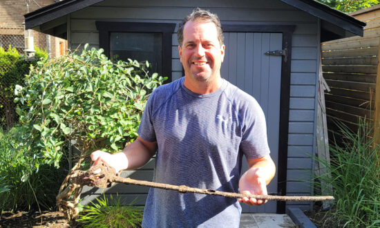 Man Finds British Rifleman’s Sword From 1890s While Building Deck in His Backyard