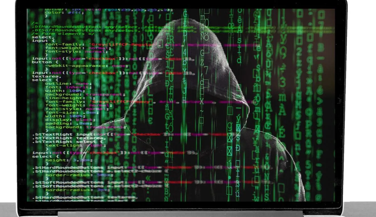 Hacker on laptop display. (vicky gharat/Pixabay) 