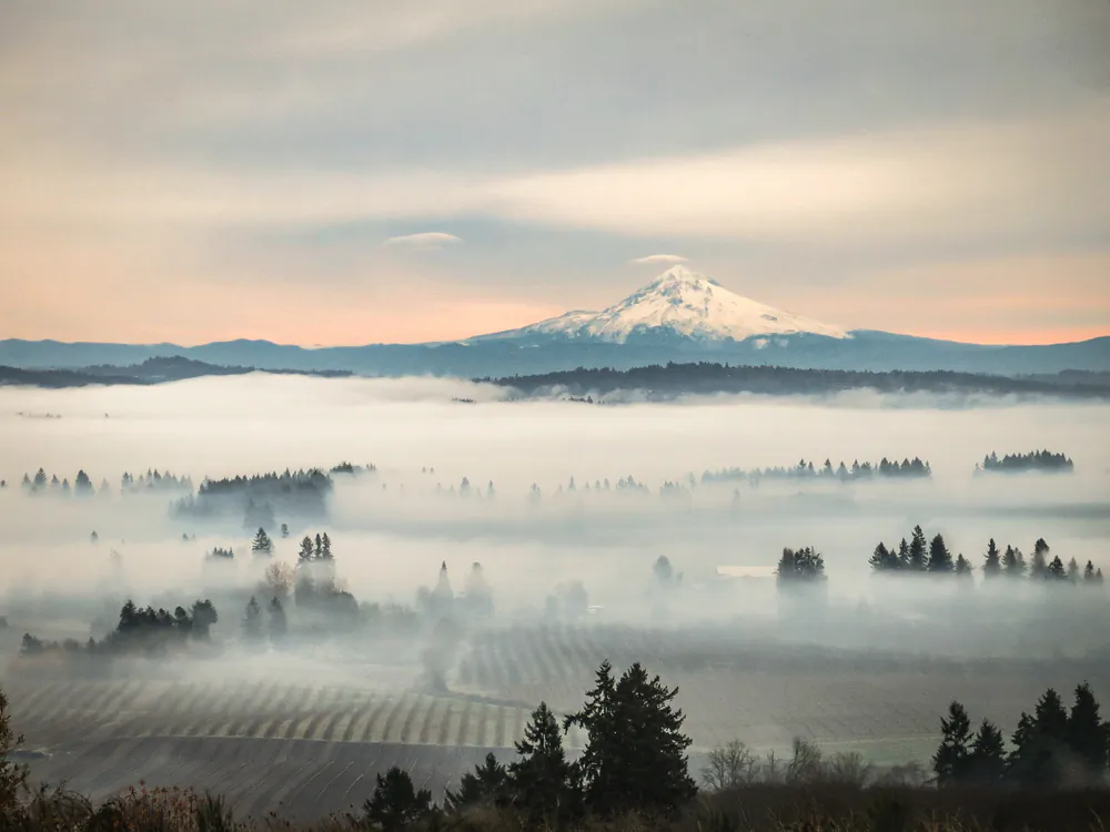 The Willamette Valley is the heart of Oregon wine country. (Leslie Brienza/Shutterstock)