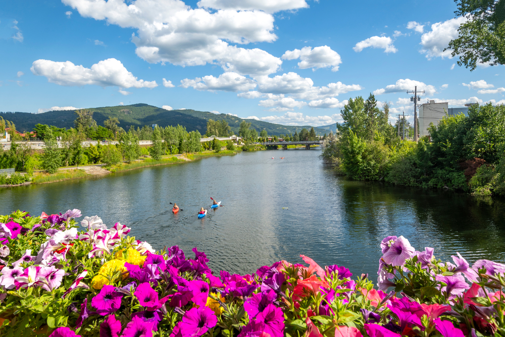 A,Group,Of,Kayakers,Enjoy,A,Beautiful,Summer,Day,On