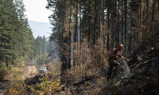 Two Major Wildfires in B.C.’s Southern Interior Now Classified as ‘Being Held’