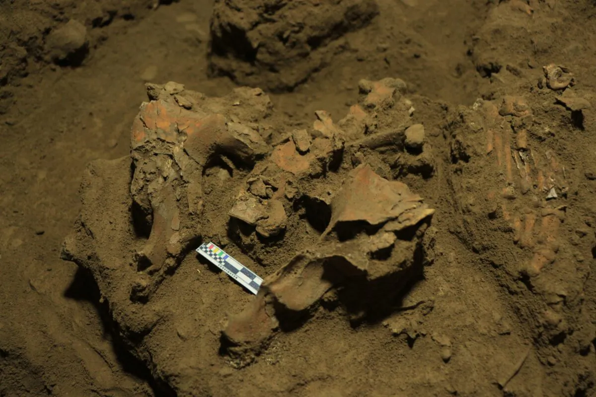 Archaeologists found the remains of a teenage Toaleans girl in Sulawesi. (Supplied, Leang Panninge research team)