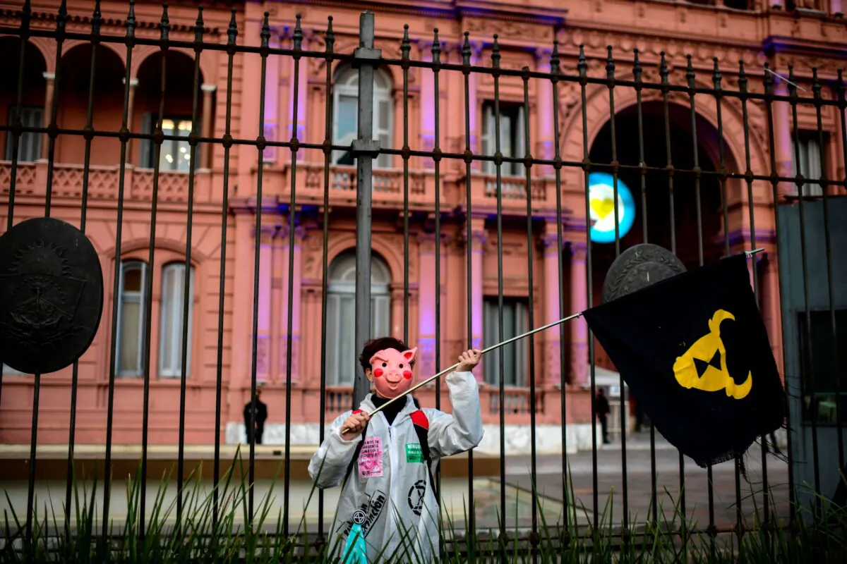 A demonstrator takes part in a protest against an initial agreement between Argentina and China to produce and export pork and demand the protection of the wetlands which are suffering from the worst fires in decades, in front of Casa Rosada Presidential Palace in Buenos Aires, on Aug. 31, 2020. (Ronaldo Schemidt/AFP via Getty Images)