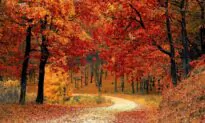 For a Productive Fall, Schedule These 5 Seasonal Priorities Now