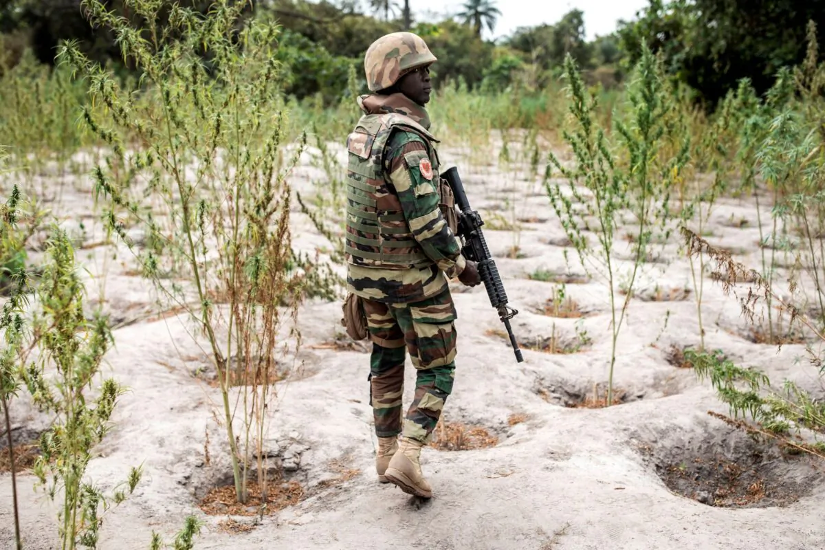 A member of the Senegalese Armed Forces, Senegal, on Feb. 9, 2021. (John Wessels/AFP via Getty Images)
