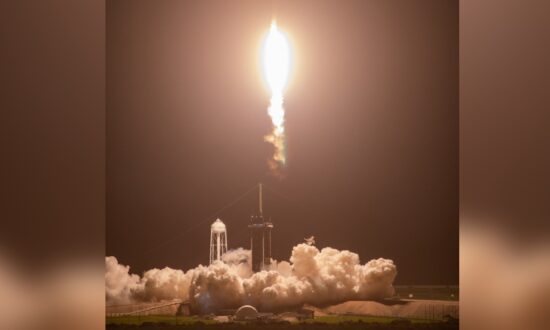 SpaceX Launches Ants, Avocados, Robot to Space Station