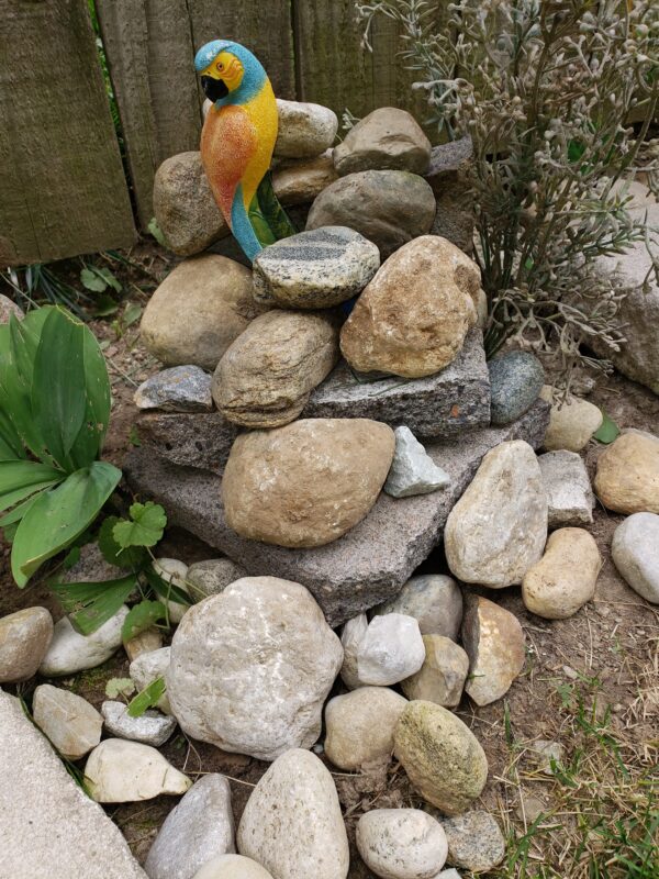 Rock display 4 w bird