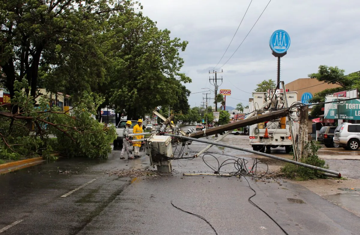 A fallen tree and electricity pole are pictured as Hurricane Nora approaches Manzanillo, in Colima state, Mexico, on Aug. 28, 2021. (Jesus Lozoya/Reuters)