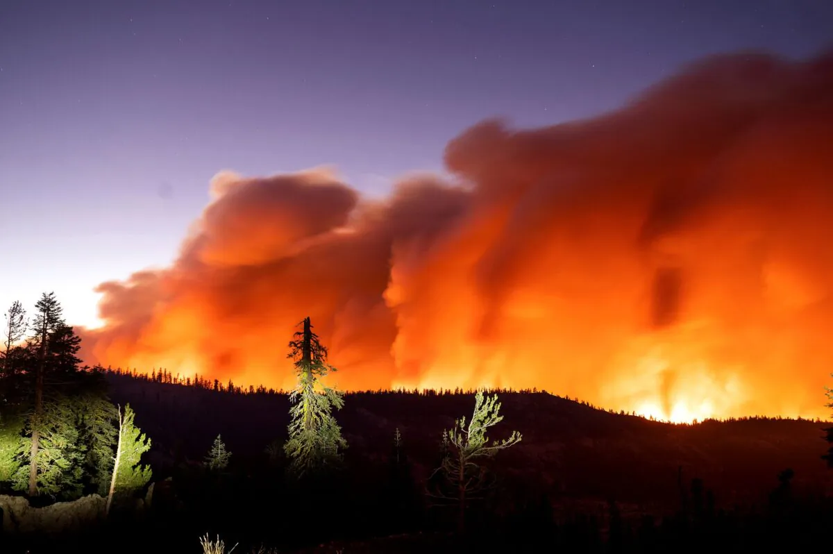 The Caldor Fire burns in Eldorado National Forest, Calif., on Aug. 29, 2021. (Noah Berger/AP Photo)