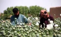 Chinese Synthetic Narcotics Networks in Post-NATO Afghanistan