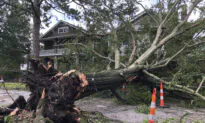 New Orleans Officials Warn Against Would-Be Looters, Tell Evacuees Not to Return After Ida