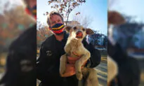 Ex-UK Marine Who Evacuated Cats and Dogs From Kabul Says Military Didn’t Help With Airport Entry