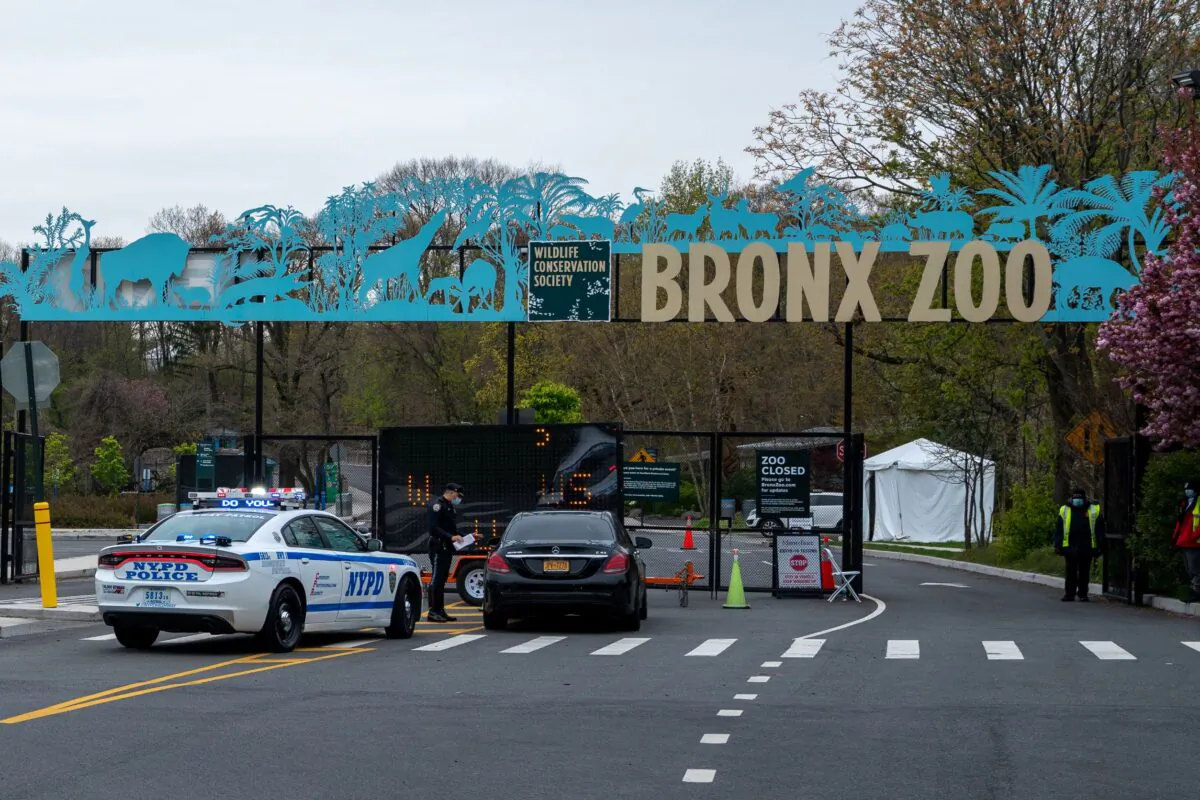 A COVID-19 testing site is seen in a parking lot at the Bronx Zoo in New York on April 23, 2020. (David Dee Delgado/Getty Images)
